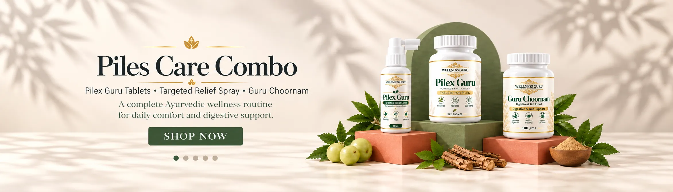 Piles Care Combo — Pilex Guru Tablets, Targeted Relief Spray and Guru Choornam. Shop now.